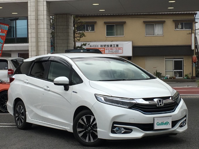 新しい仲間！！！