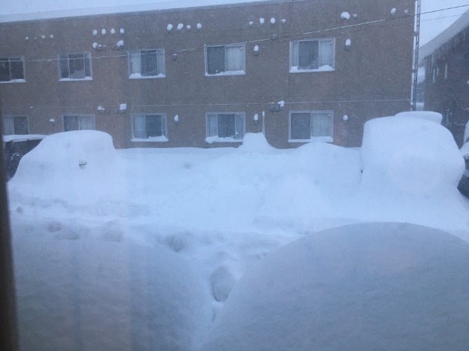 今日も雪・・・。