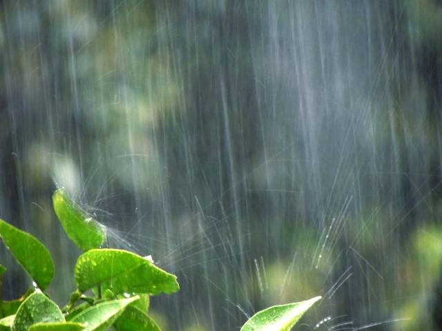 【雨の日こそチャンス？】梅雨を乗り切る愛車ケアのすゝめ！