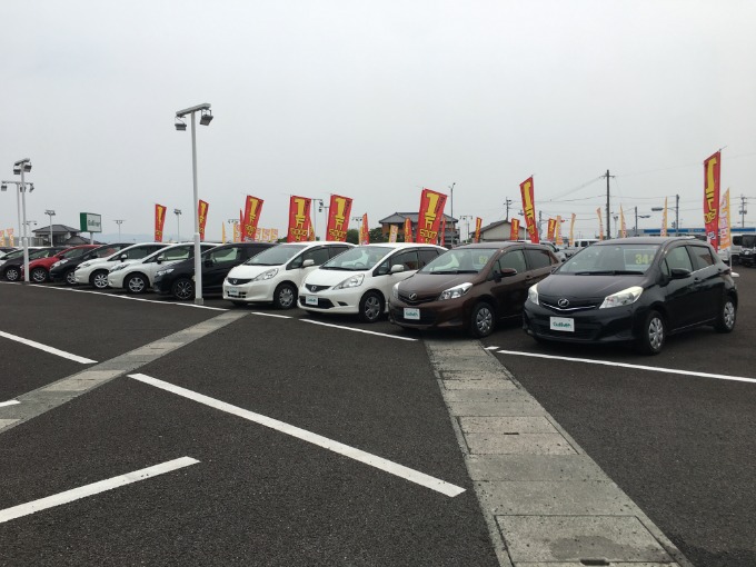 皆さま、こんにちは。