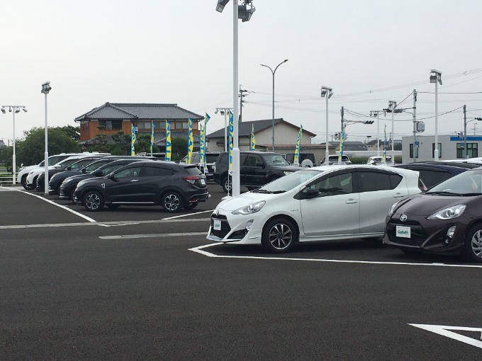 皆さま、こんにちは。
