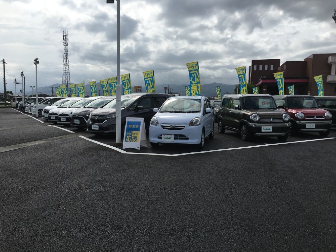 皆さま、こんにちは。