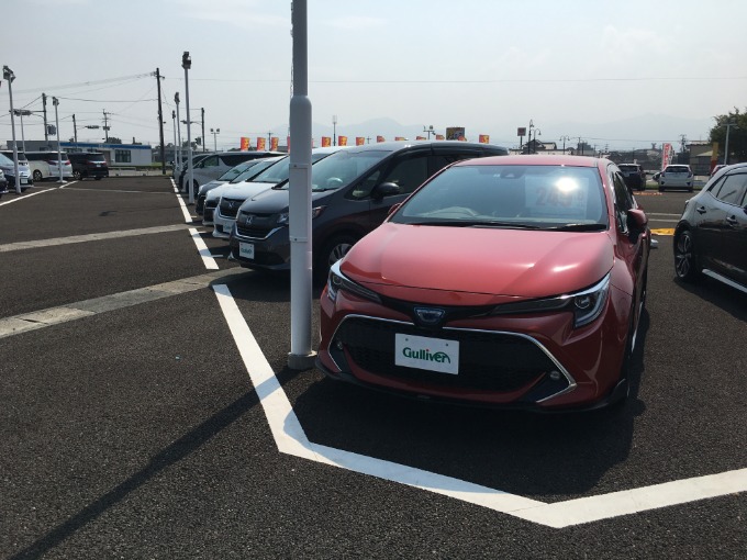 皆さま、こんにちは。