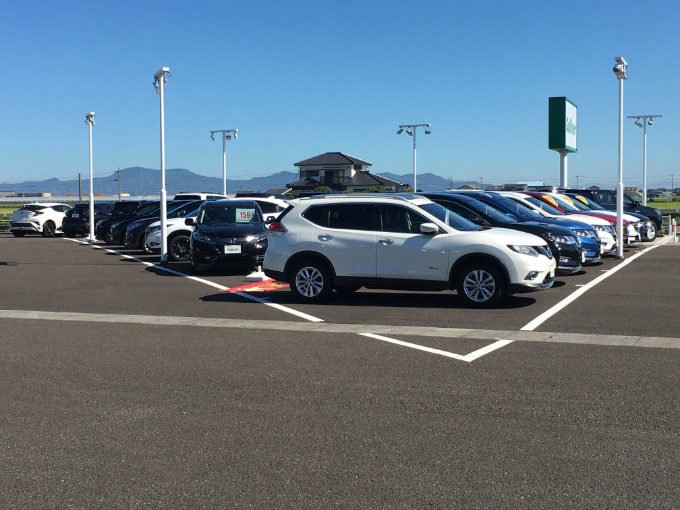 皆さま、こんにちは。