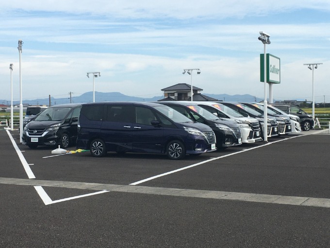 皆さま、こんにちは。