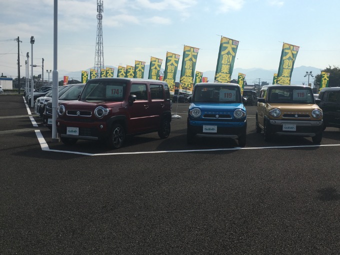 皆さま、こんにちは。