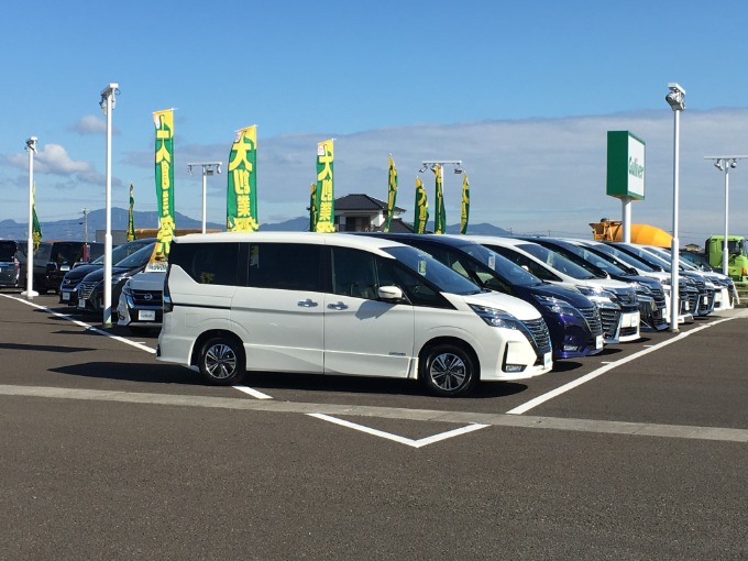 皆さま、こんにちは。