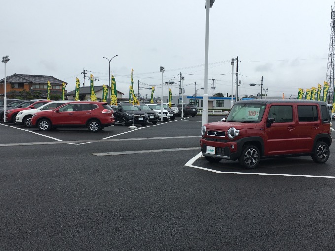 皆さま、こんにちは。