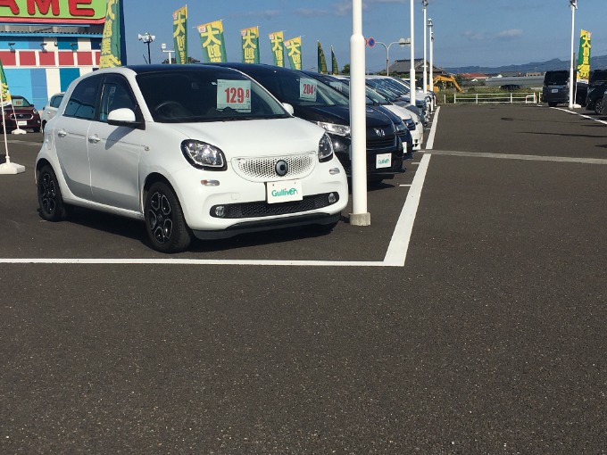 皆さま、こんにちは。