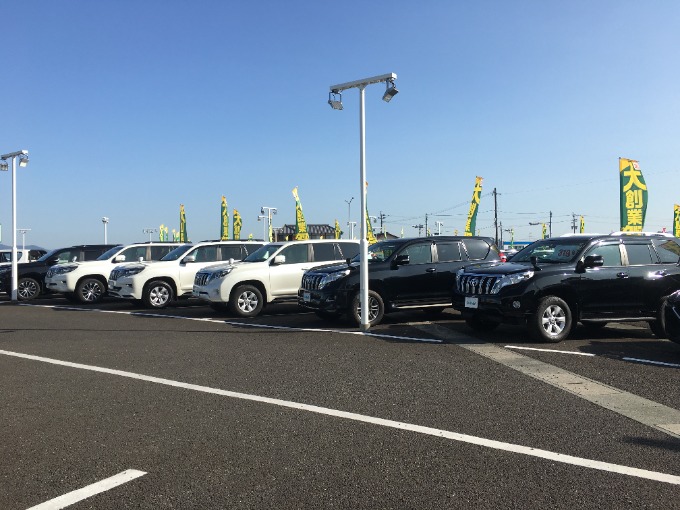 皆さま、こんにちは。