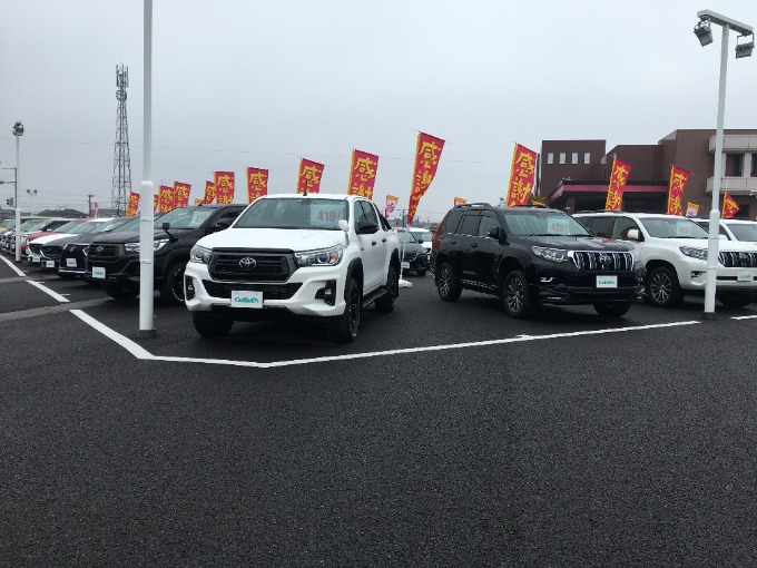 皆さま、こんにちは。