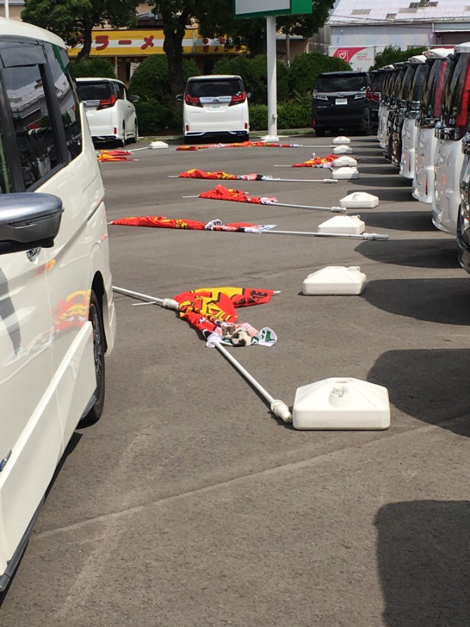 ☆ある日の出来事☆