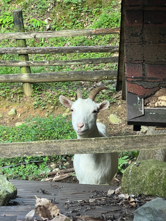 滋賀でキャンプ!涼しくなったので・・・02