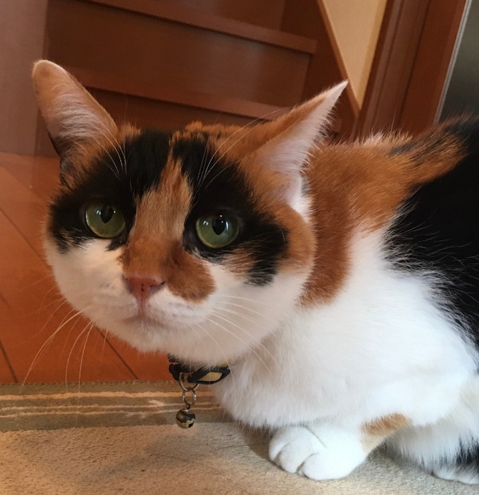 本日のお客様のご自宅にて…。