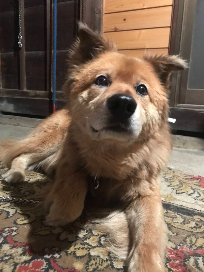 実家のアイドル！！