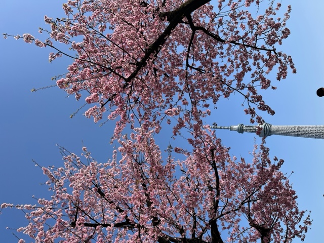 連休のできごと。