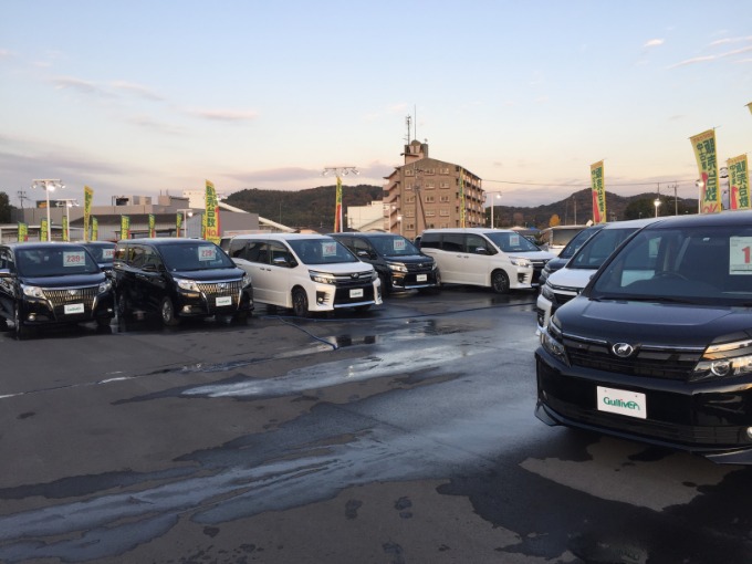 めっちゃ綺麗です！！