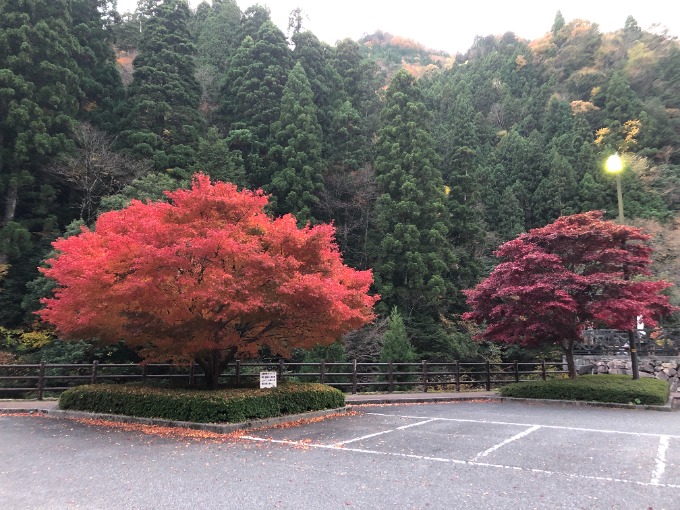 ☆オススメのドライブスポット☆中古車・登録済み未使用車【SUV・ミニバン】05