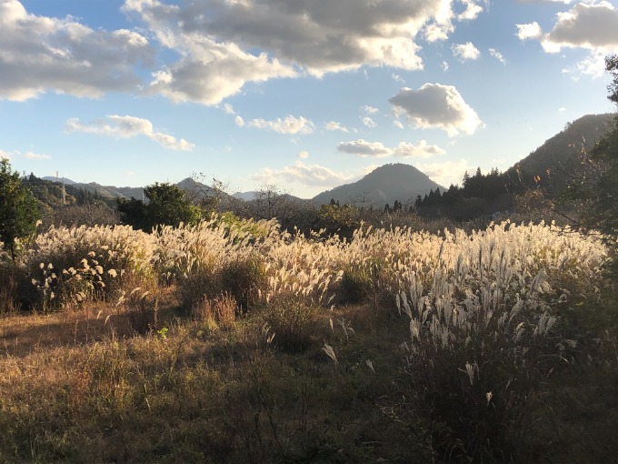 ☆オススメのドライブスポット☆中古車・登録済み未使用車【SUV・ミニバン】03