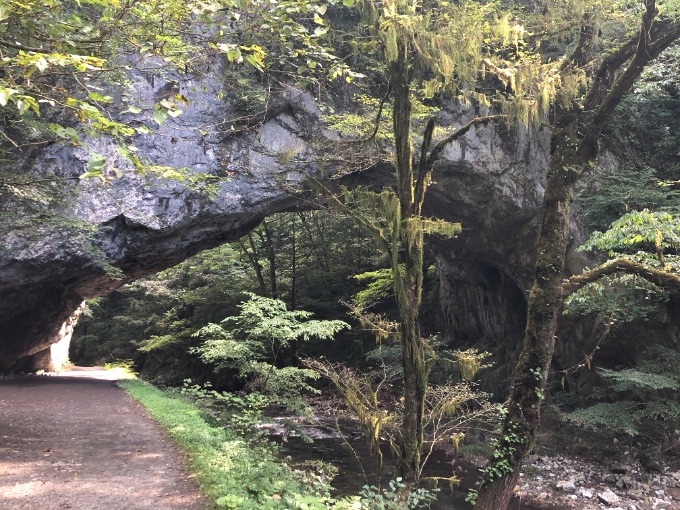 ☆オススメのドライブスポット☆中古車・登録済み未使用車【SUV・ミニバン】02