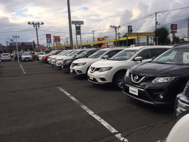 数字を明確にせよと上長に教わったので展示車両の数を数えてみたらすごい車種が・・・・