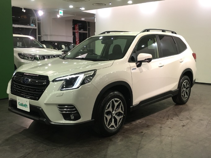 アイサイトってつまり愛だねっていうお話〜ガリバー清田〜