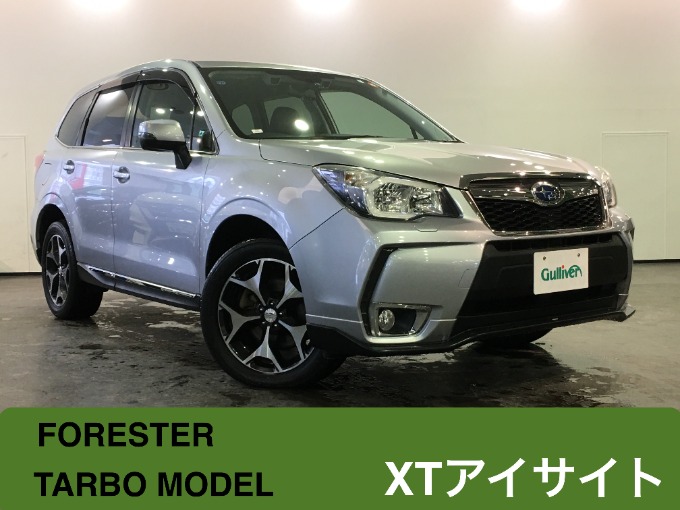 NEW庫のお知らせ