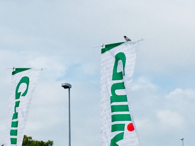 お客様、、、？！