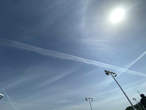 朝の気分転換♪♪