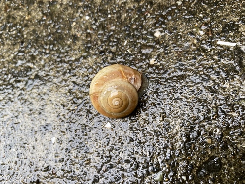 久しぶりに！！！