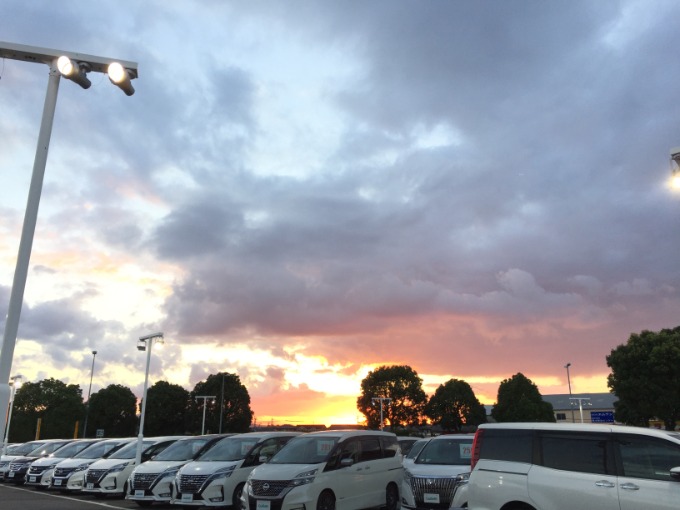 綺麗ですね！！！