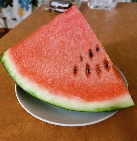 〜夏の風物詩〜