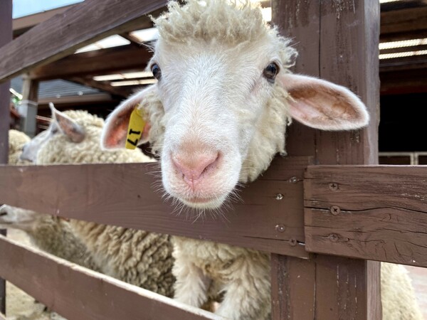 ☆☆☆休日の過ごし方☆☆☆