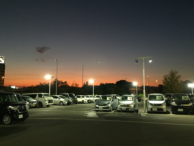 ほっこり( ´▽｀)