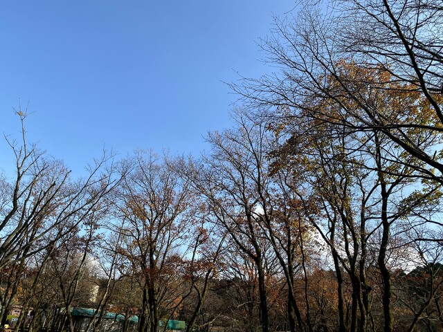 冬の装いですね！！！