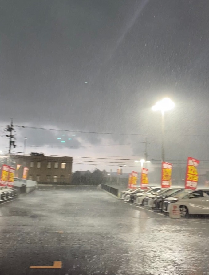 大雨です(^_^;)