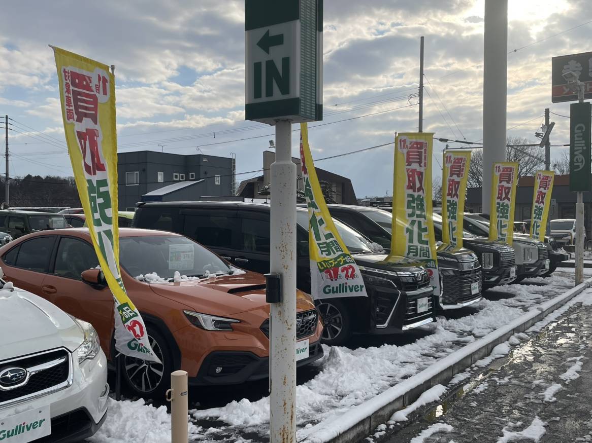 本日は年の1度の「ガリバー いいブーブーの日」実施しております！！02