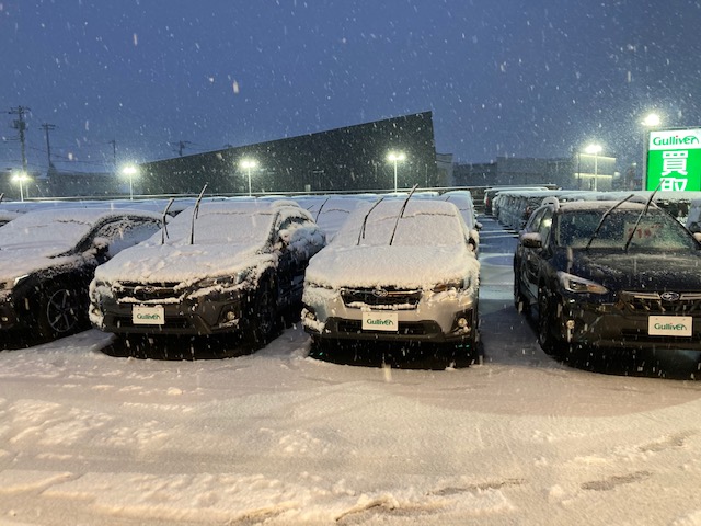 ～突然の雪～