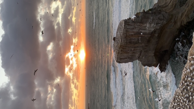 夕焼けと．．．