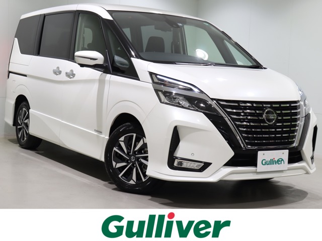 入荷しました‼︎