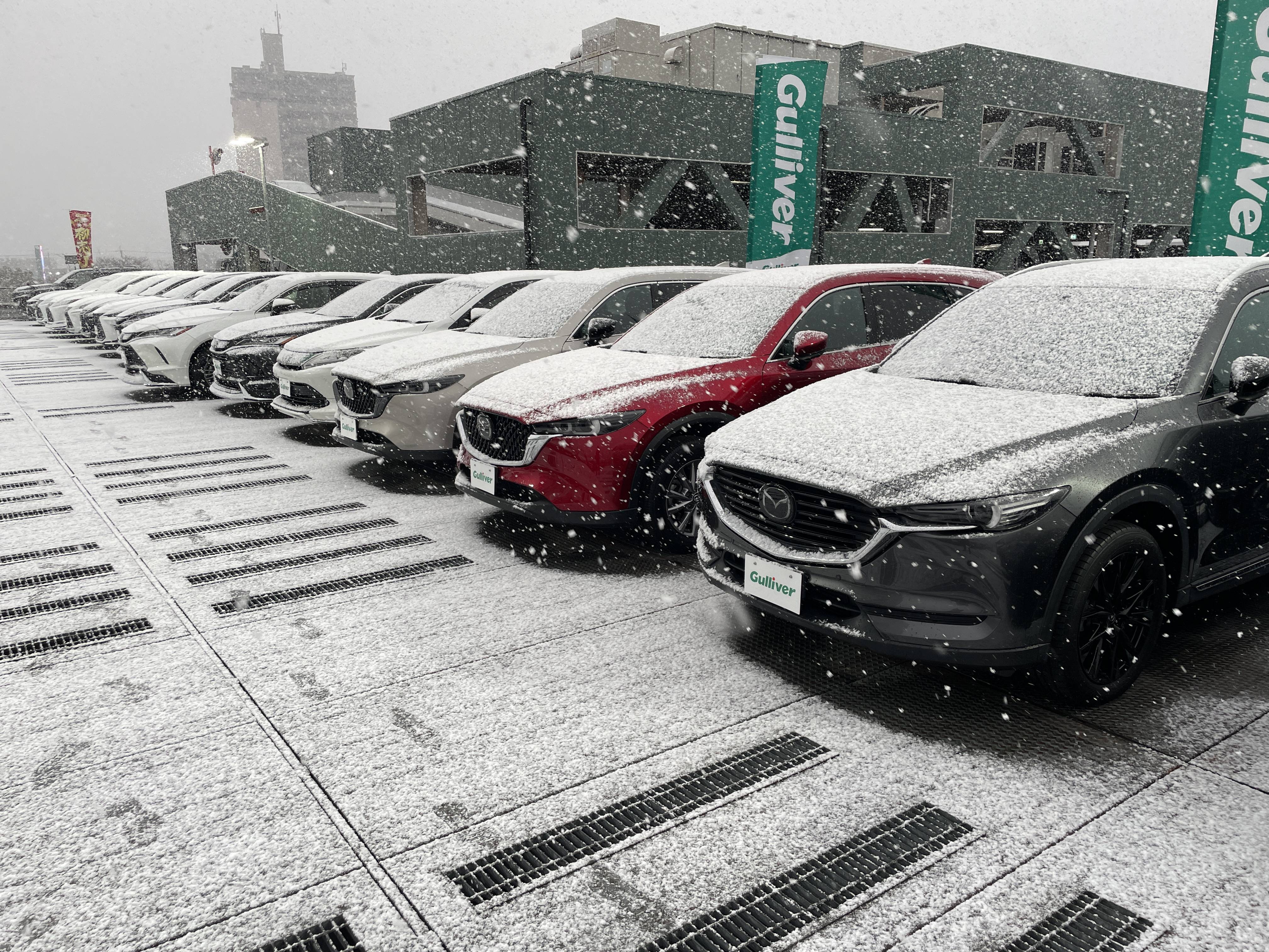 雪模様です！！01