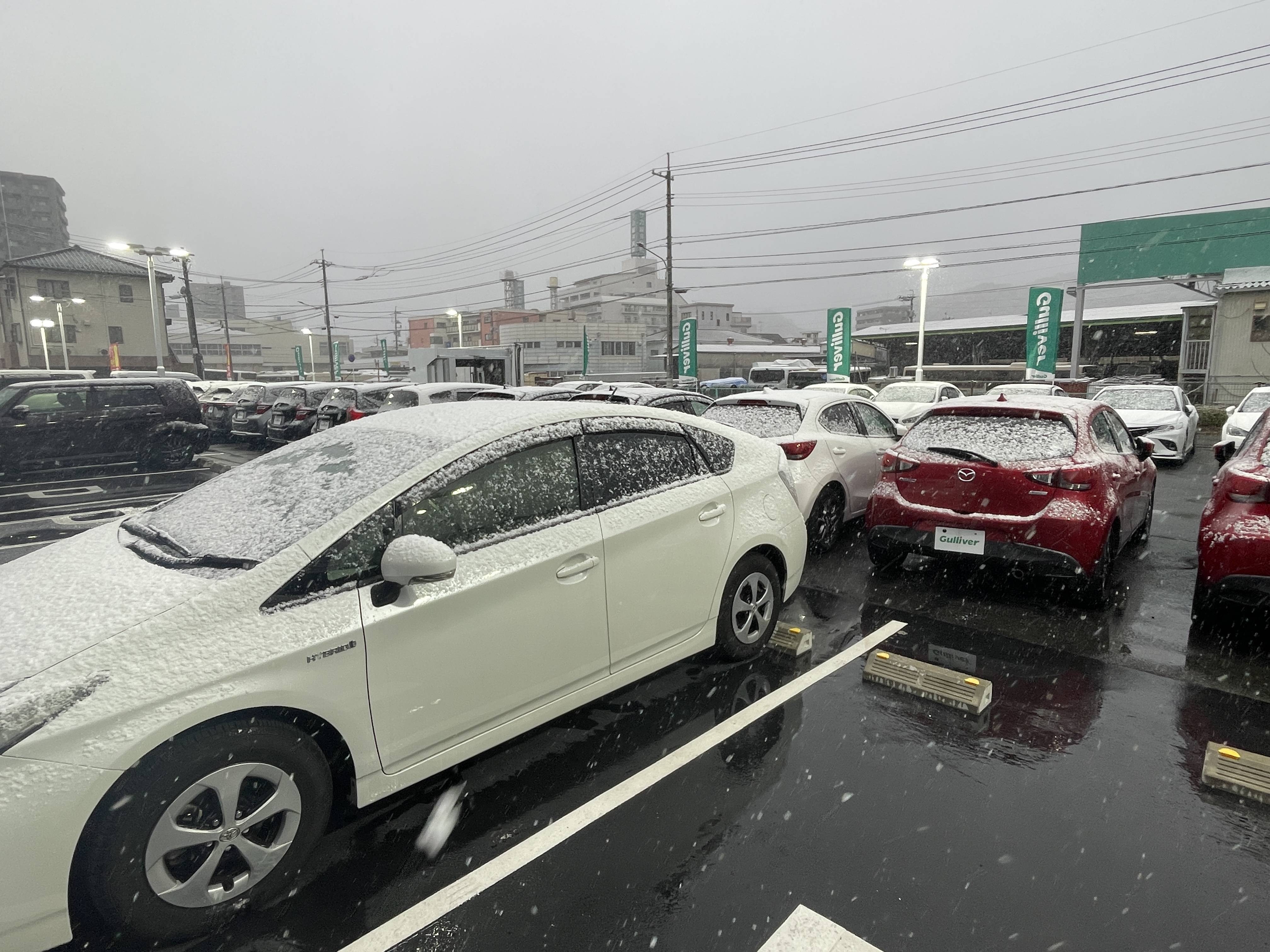 雪模様です！！02