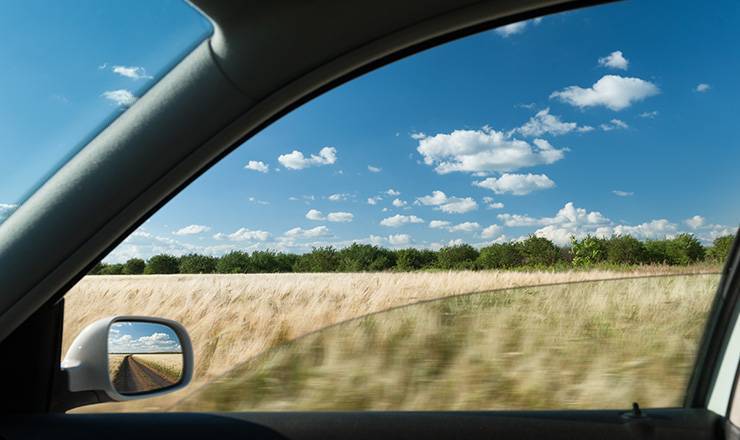 【豆知識】ニオイ