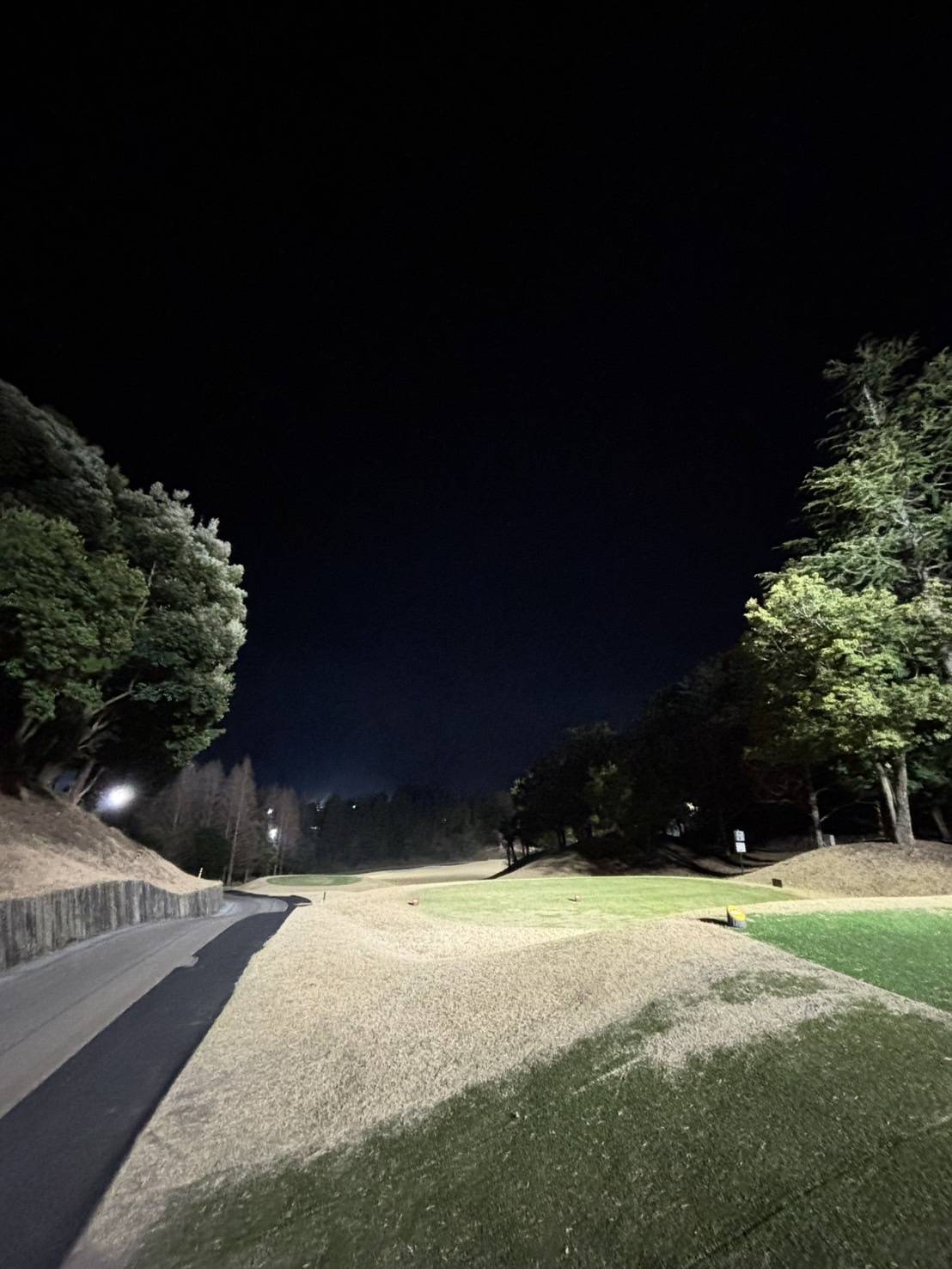 【プロゴルファー中井】挫折、挫折、挫折...