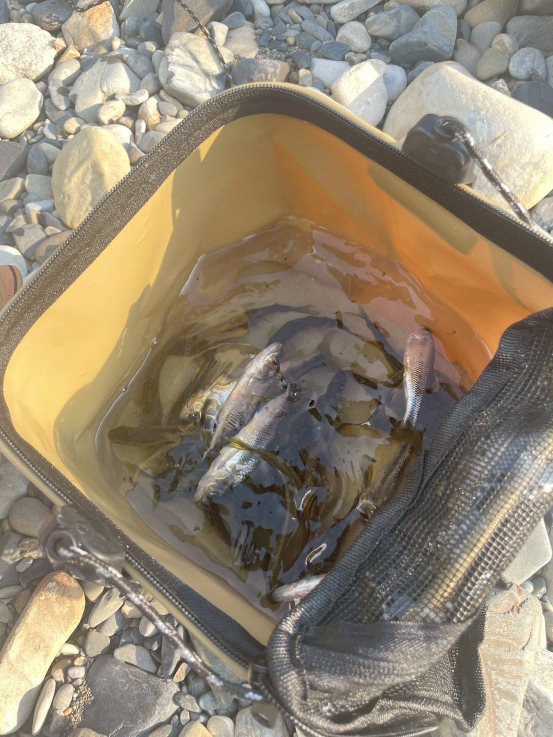 川遊びにはミニバン！！03