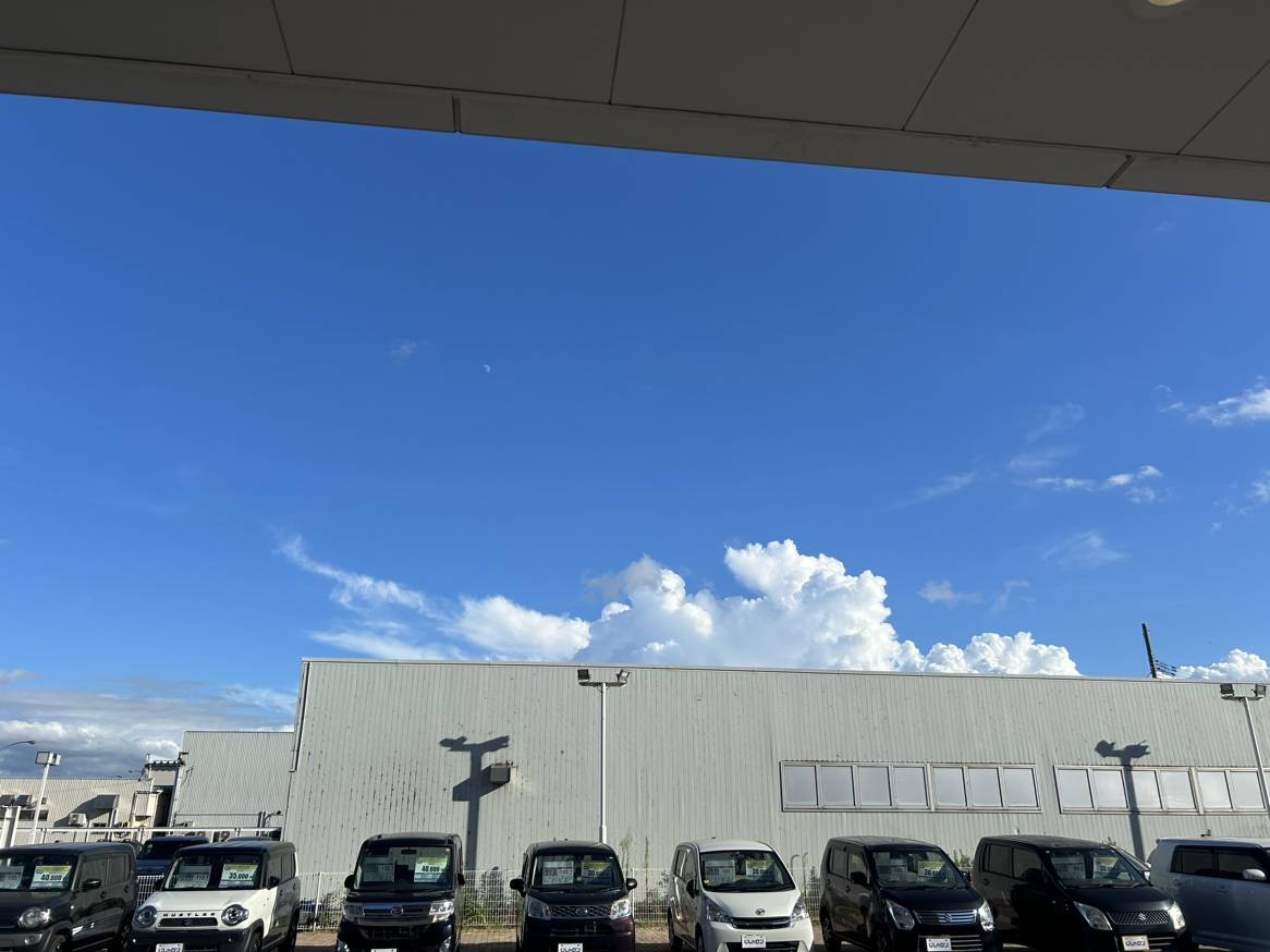 ８月になりました！