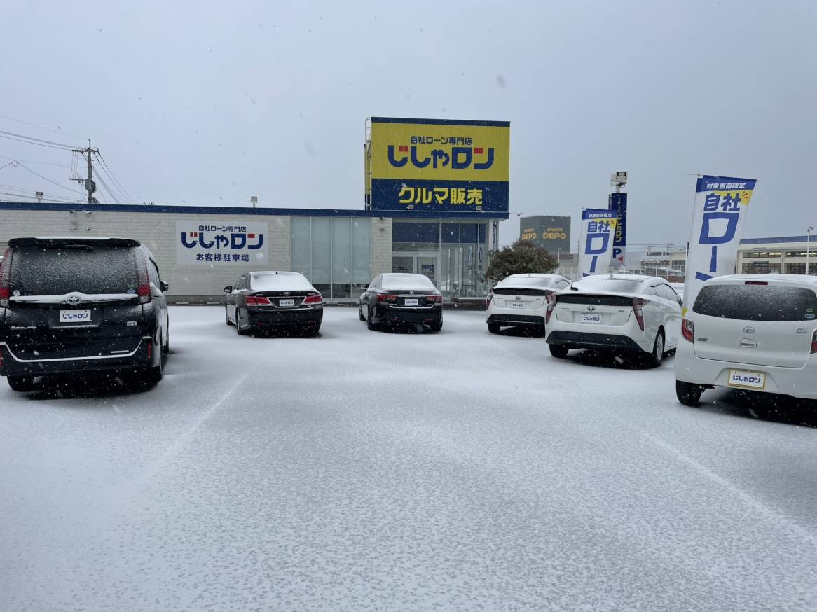 数少ない降雪日