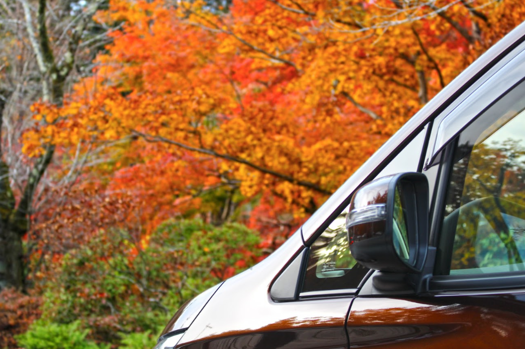 紅葉を見ながら気軽に出かける秋のアウトドア
