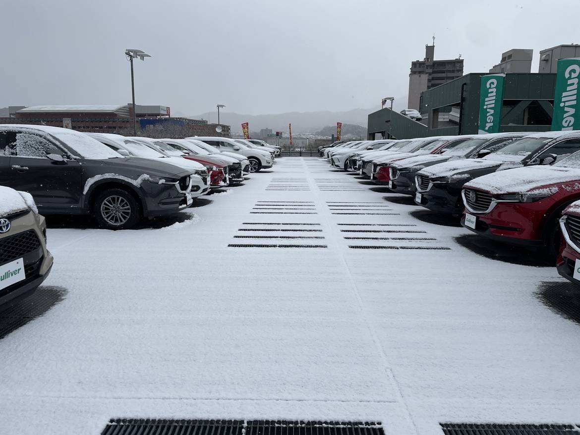 白一色！こんな時こそ車！！