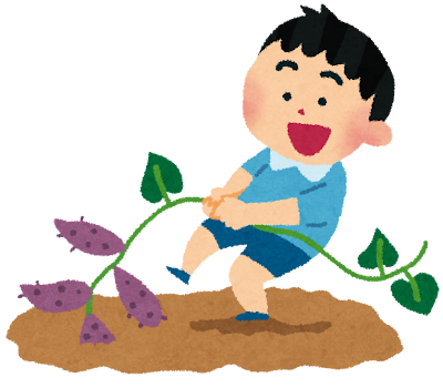 芋堀り